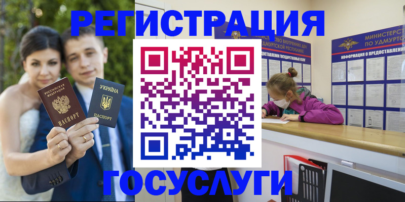 прописка поиск в Новосибирской области